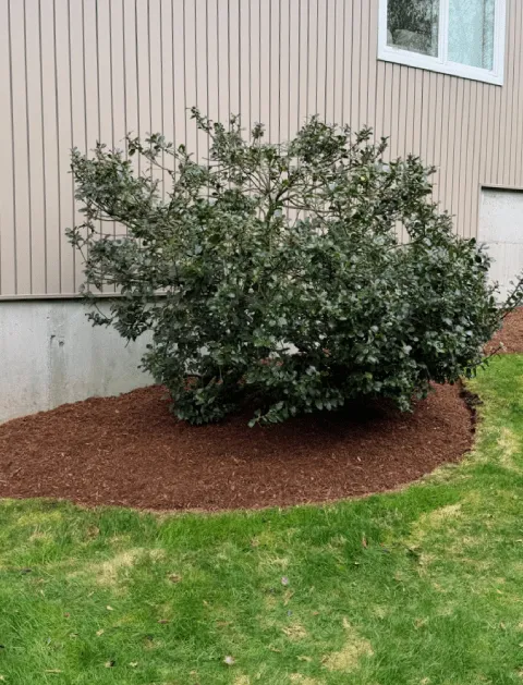 work photo from orteltlandscaping.com