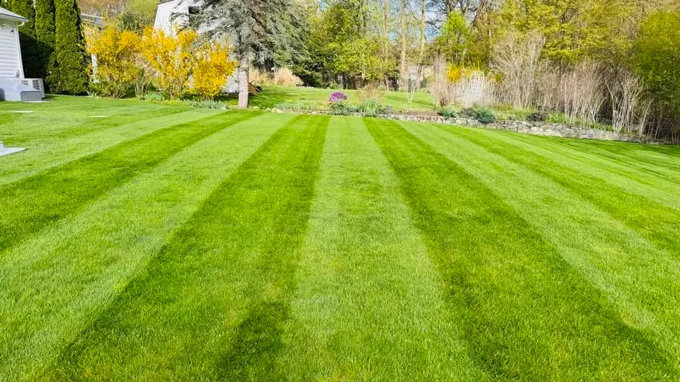 work photo from olmoslandscaping.com