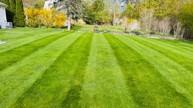 work photo from olmoslandscaping.com