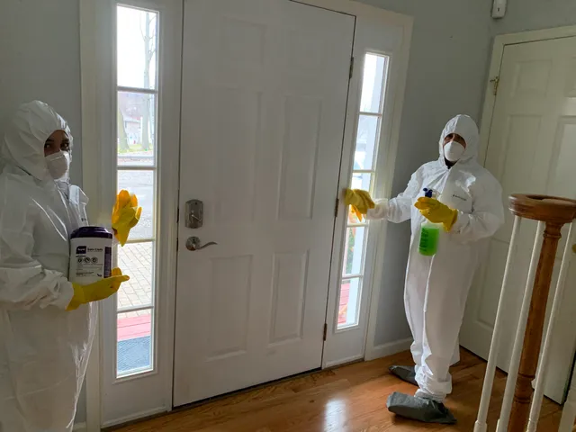work photo from Google listing