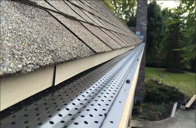 Close-up of a house gutter system with shingle roof and greenery in the background.