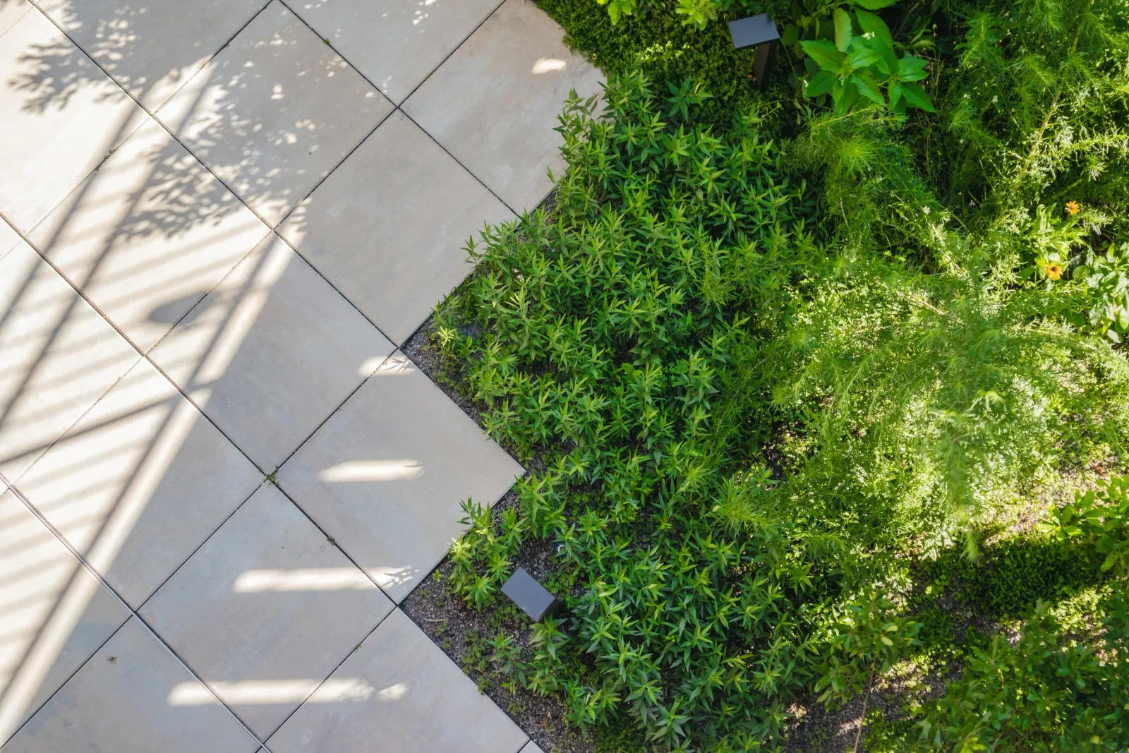 A garden with a tiled stone pathway on the left and lush green plants on the right, with sunlight creating shadows on the tiles.