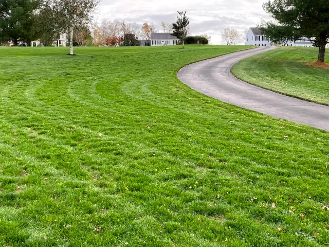 A winding driveway surrounded by lush green grass and trees with suburban houses in the background under a cloudy sky.