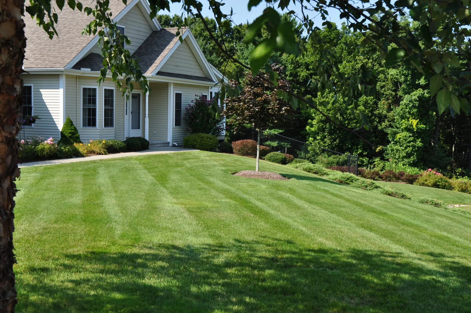 work photo from turfproslawncare.com