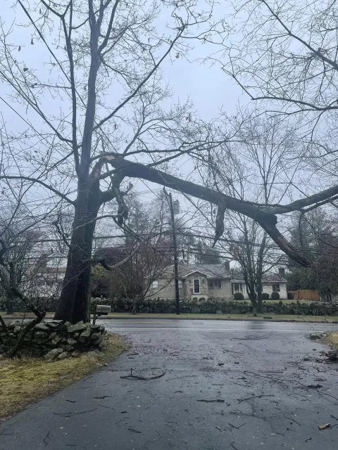 Storm Damage