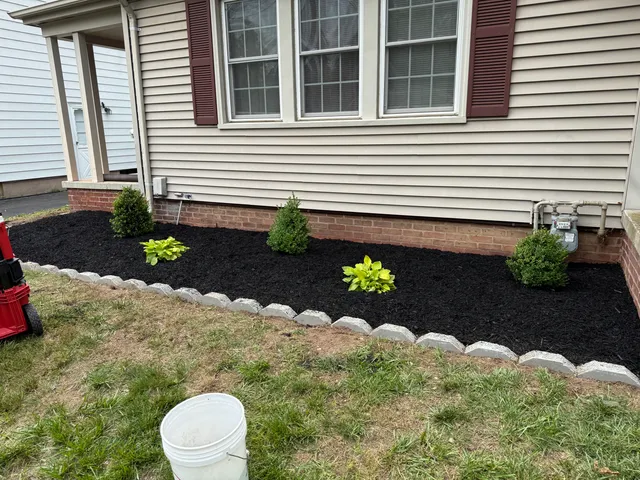 Borrelli Landscaping LLC work photo