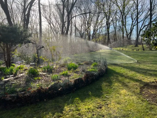 A residential garden with sprinklers installed by BC Irrigation and more