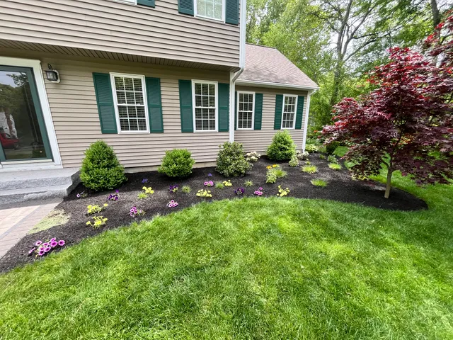Costa Cuts Lawn Maintenance & Landscaping work photo