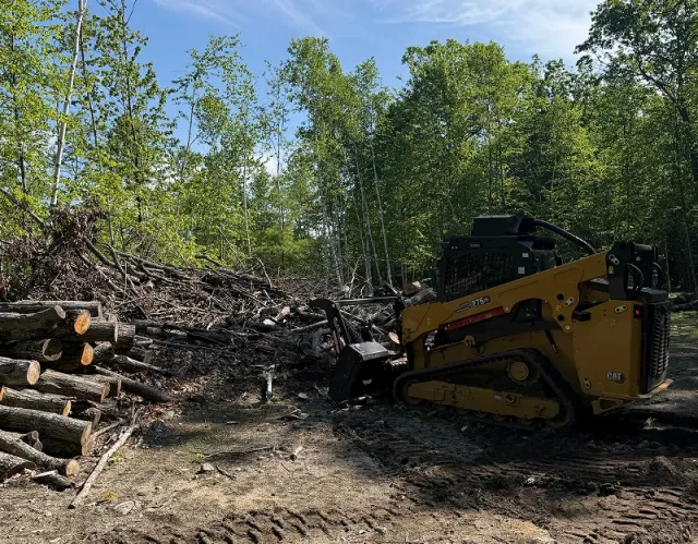 Heavy machinery near cut logs in forest