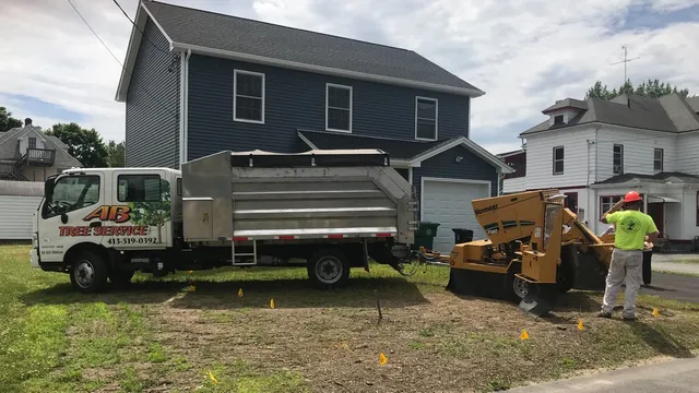 AB Tree Service Inc. work photo
