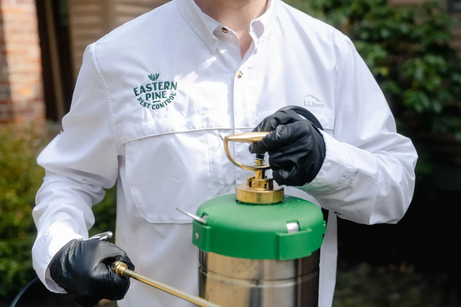 Pest control expert holding spray tool
