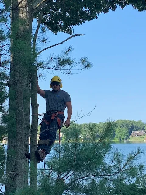 ArborTech Tree Services, LLC