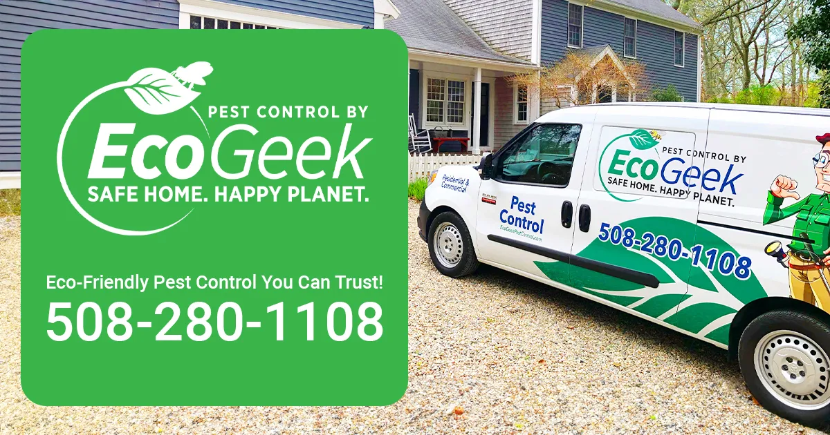 work photo from ecogeekpestcontrol.com