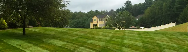 work photo from buccierolandscaping.com