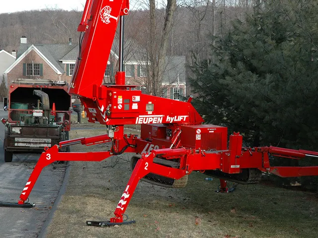 work photo from westonarborists.com