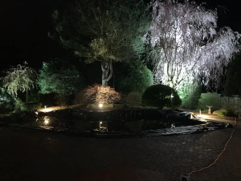 A nighttime garden scene with illuminated trees and shrubs surrounding a covered pond, with subtle landscape lighting enhancing the features.