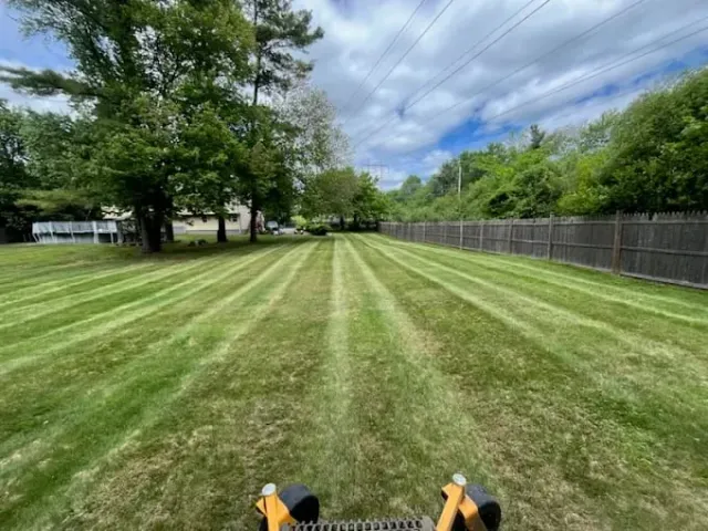 Freshly mowed lawn with diagonal stripes stretching toward trees and fenced properties under cloudy sky