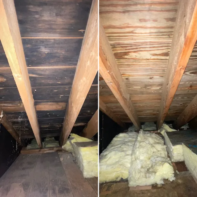 EFS Water Restoration work photo