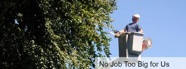 work photo from elliotttree.com