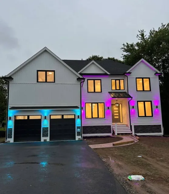 Nec Electric researched project photo