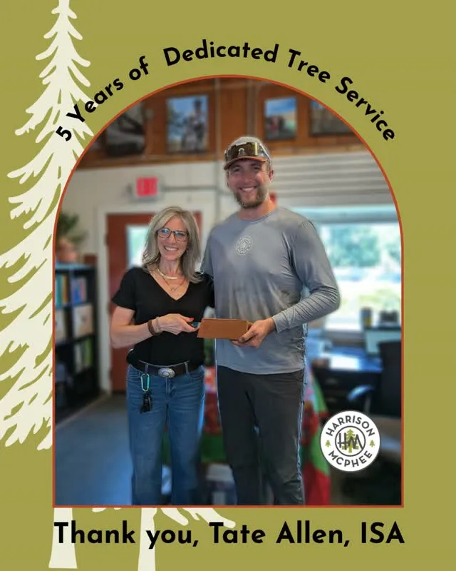 Five years and counting! Congratulations to Tate on reaching this milestone with Harrison McPhee. He’s now part of the 25% of our team who have been here five years or more — and we’re grateful for everything he brings to the crew.

#EmployeeMilestone #WorkAnniversary #FiveYears #EmployeeAppreciation #TeamHarrisonMcPhee #TreeCareTeam #ArboristLife