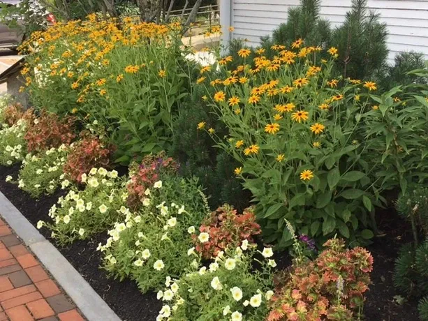 GOODWILL GARDENING work photo