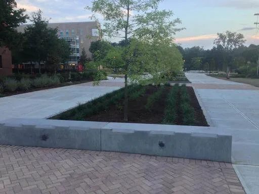 work photo from chaselandscape.com