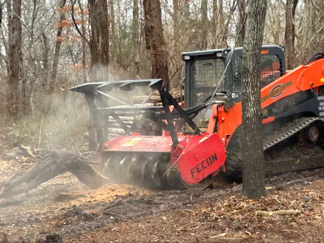 Skid Steer Mulching up tree
