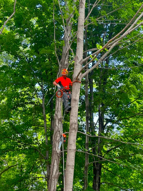 work photo from dcwoodservices.com