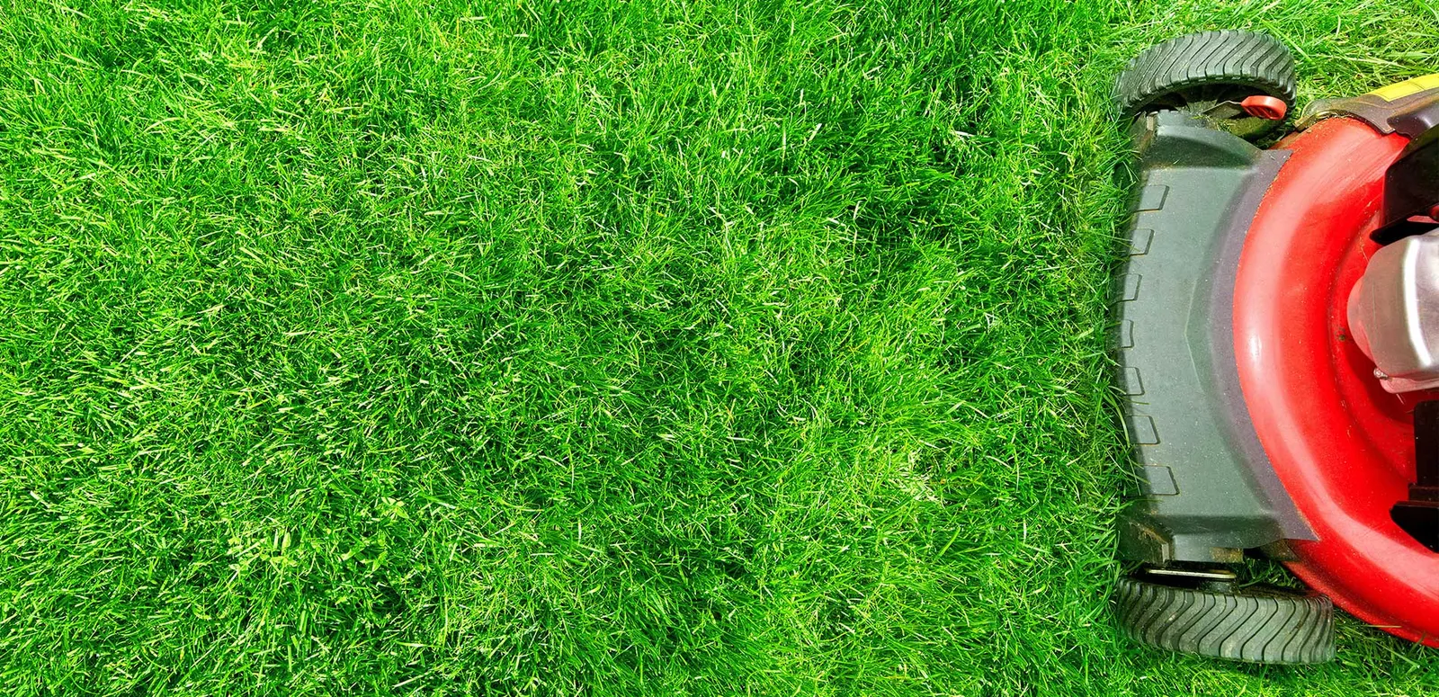 work photo from elfslandscapeinc.com