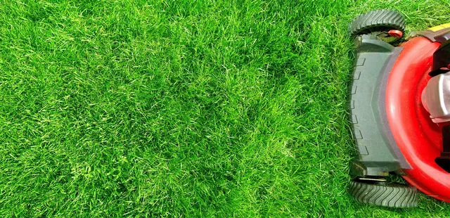 work photo from elfslandscapeinc.com