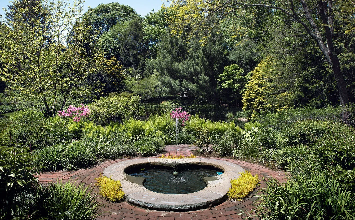 201V-Dedham-fountain.jpg