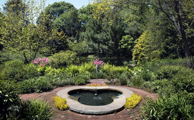 201V-Dedham-fountain.jpg