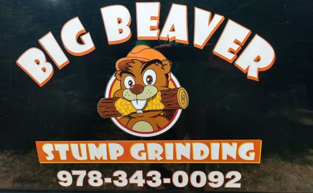 work photo from bigbeaverstumpgrinding.com