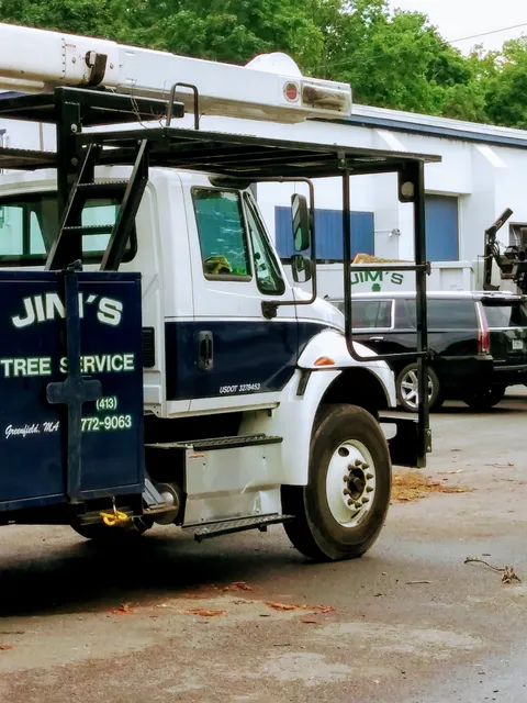 Jim's Tree Service Inc work photo