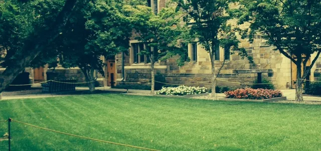 Large lawn installation