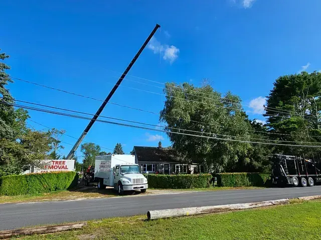 Tree removal truck with extended crane next to house, blue sky.
