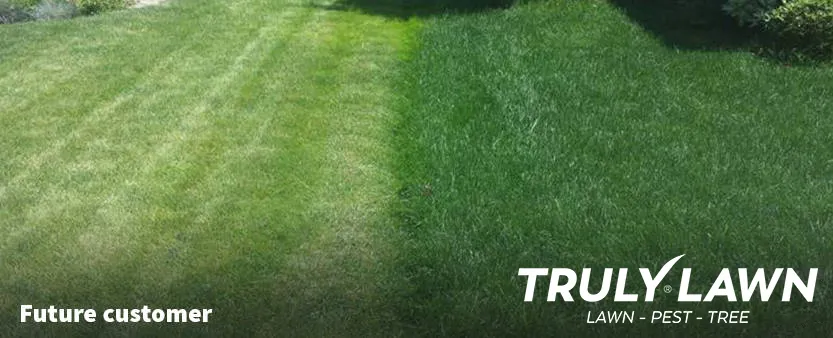 work photo from trulylawn.com