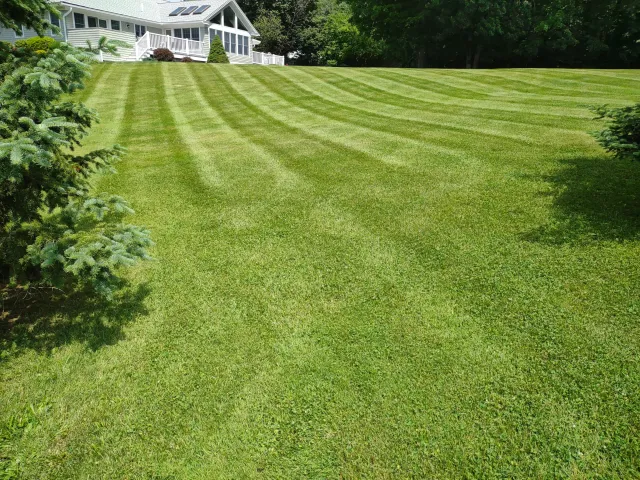 Lewis Lawn Care work photo