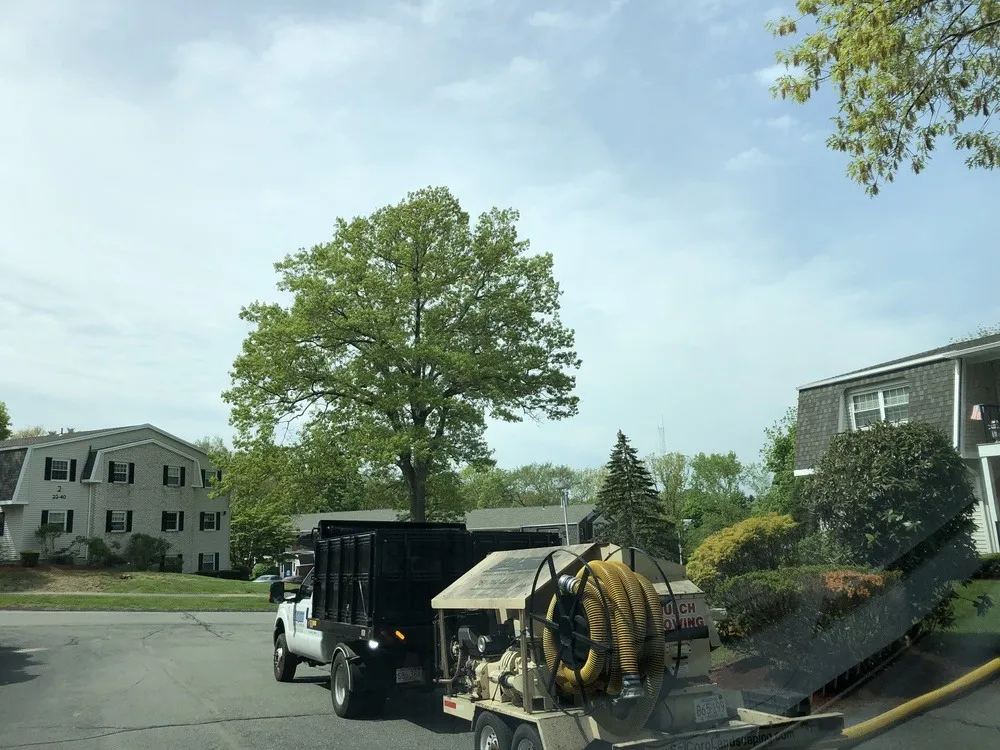 work photo from salcorplandscaping.com