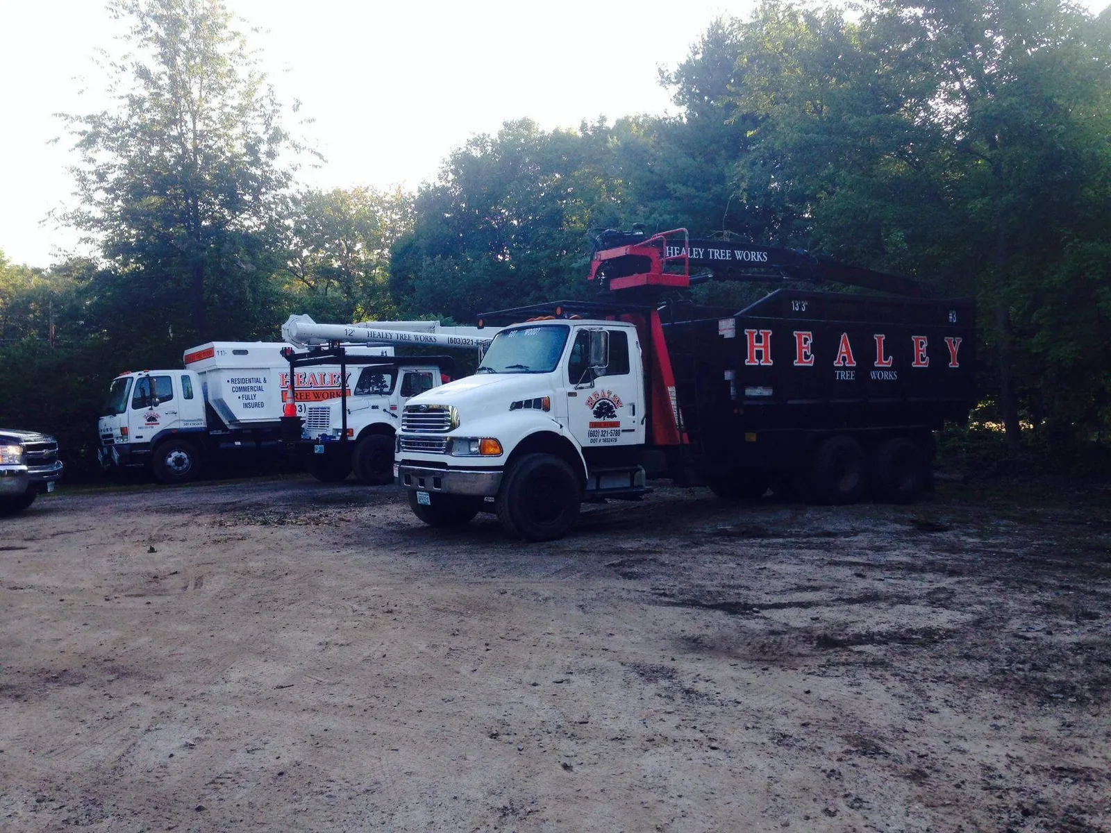 work photo from healeytreeworks.com