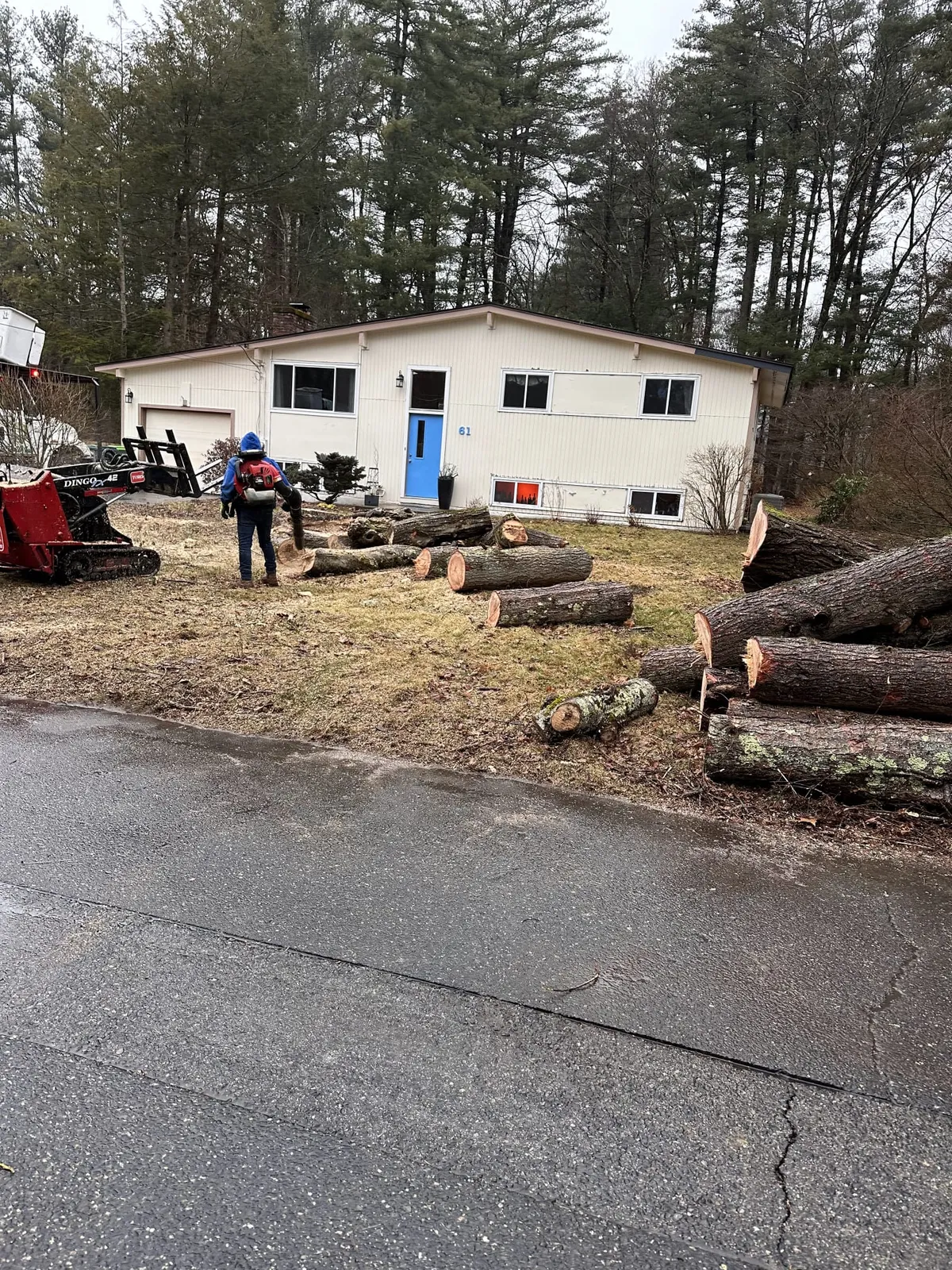 work photo from faithtreeservices.com