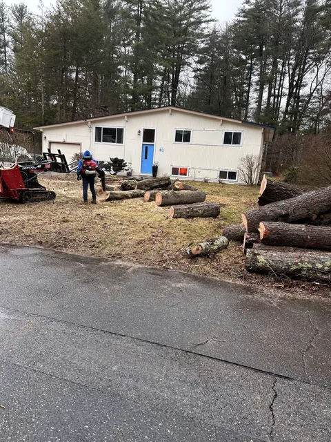 work photo from faithtreeservices.com