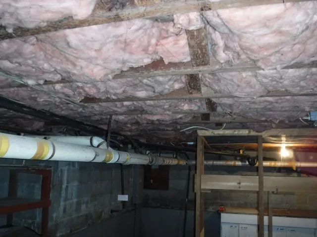 Black mold growing on wet basement wall in Stamford CT