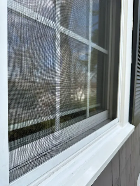 work photo from wholewindow.com