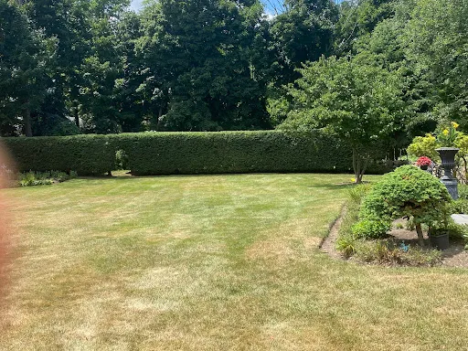 JD TREE & LANDSCAPE SERVICES work photo