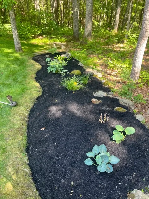 A beautiful garden bed is shown after being edged and topped off with black mulch that was hand spread by Maple Court employees.