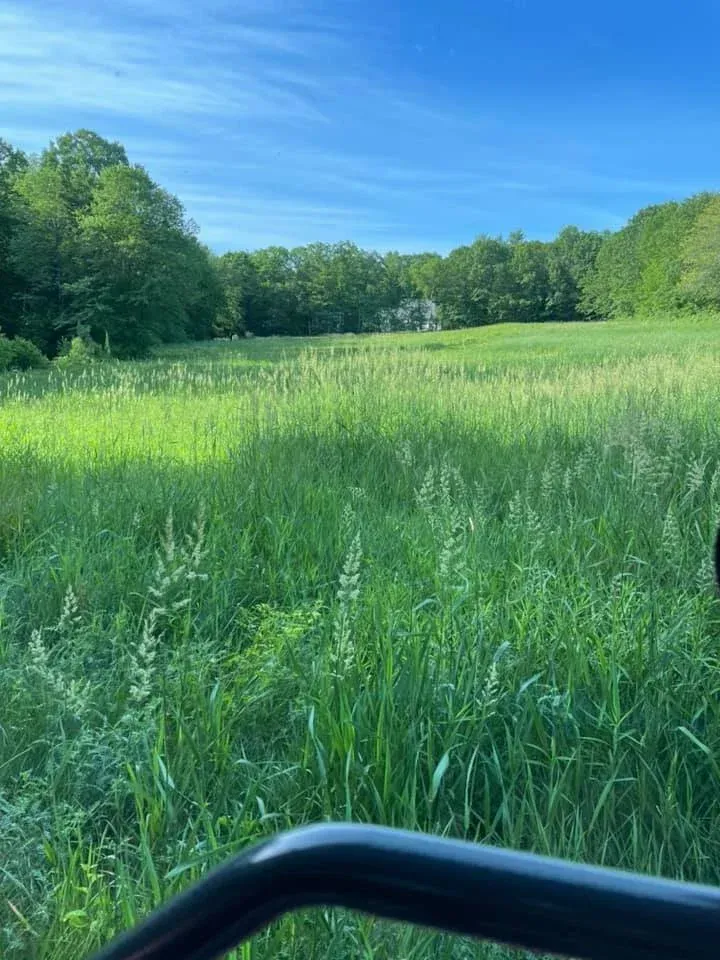 200926224_121208330157696_1354597249821988248_n.jpg