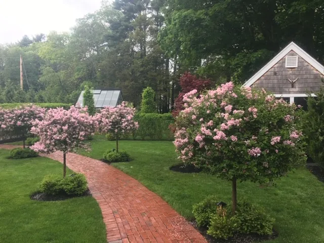 work photo from hedgesinclandscape.com