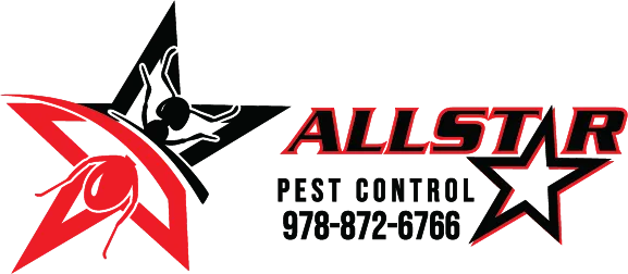 All Star Pest Control work photo